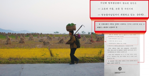 2011년 10월8일 한 북한 주민이 원산 외곽지역을 걷고 있다. ⓒ AP 연합