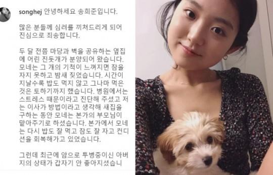배우 송희준이 파양 의혹에 대해 SNS를 통해 사과문을 올렸다. ⓒ송희준 인스타그램 캡처본