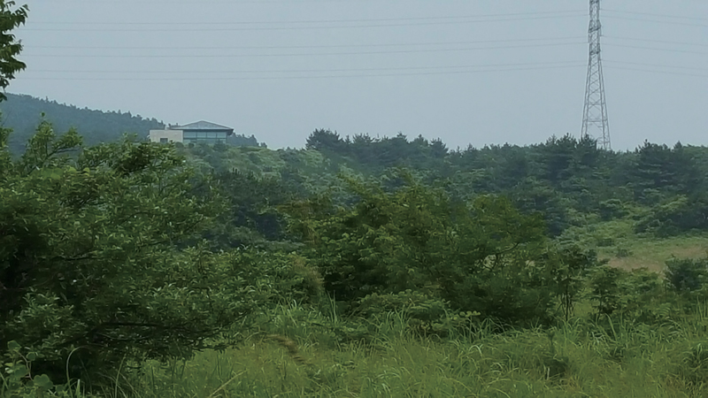 ⓒ피해자 김애숙씨 제공