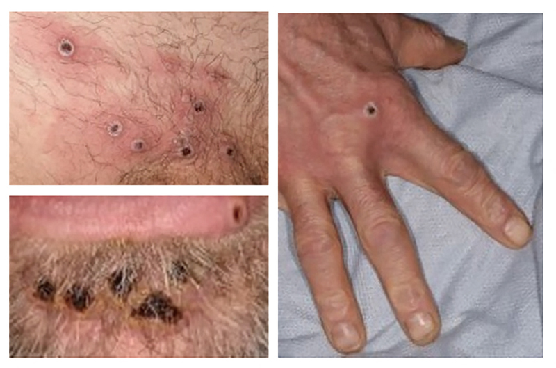 ⓒEPA 연합 AFP 연합