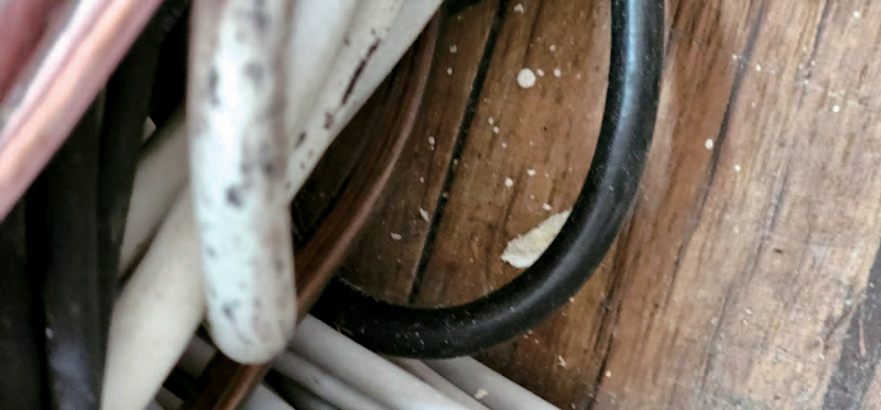 ⓒ시사저널 김현지