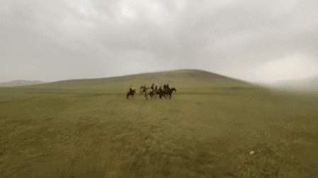 말은 다른 말들이 달리면 함께 달리는 습성이 있다. ⓒ김지나