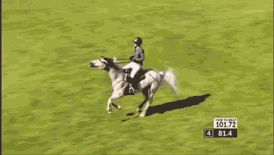 굴레가 벗겨진 채 장애물코스를 이어나간 해리엇 비딕 선수와 실버 리스트 ⓒ출처 @equestriquiz