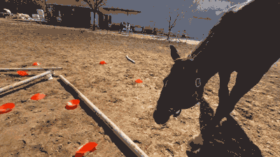 새로운 주인을 만나 여러 가지 놀이를 배우는 나이키. ⓒ출처: @taraelizabeth6