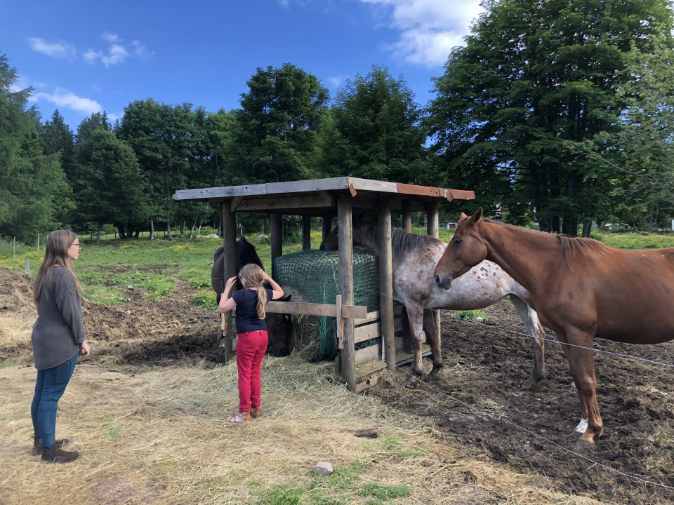 프랑스 알자스에 위치한 Cheval Alsace 승마장의 방목장 풍경 ⓒ김지나