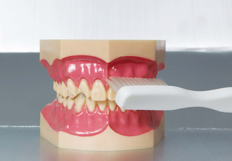 ⓒ시사저널 임준선