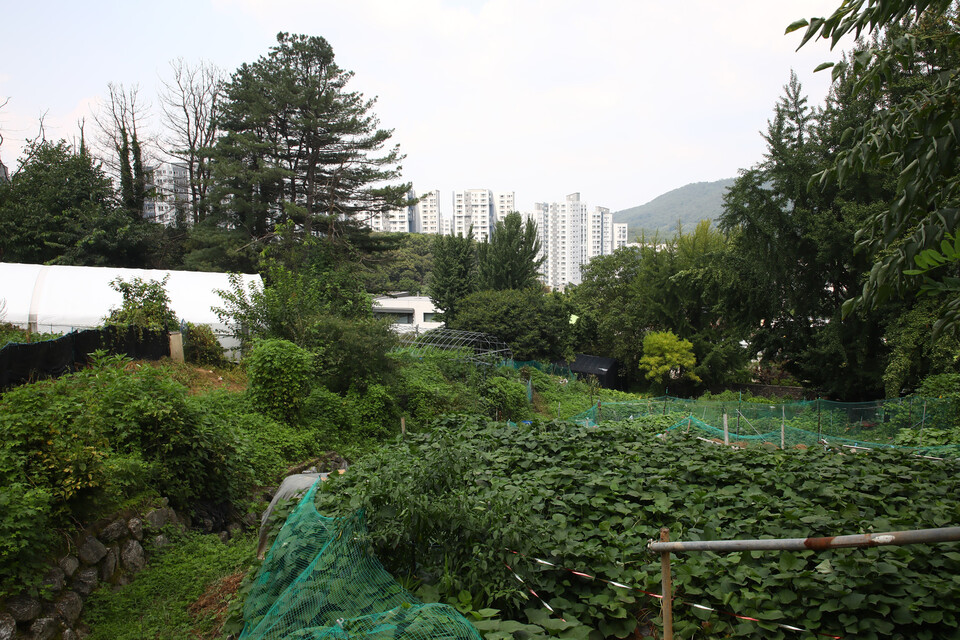 서울 서리풀구 2만가구 공급, 10년 뒤 우리 아이들을 위해 강남 내 집 마련에 도전해보자 2