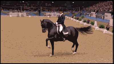 토틸라스와 에드워드 갈의 2009년 런던올림픽 세계신기록 경기 모습. 피아페, 파사지 동작을 볼 수 있다. 원본 링크로 들어가서 음악과 함께 감상하길 추천한다. ⓒ출처: FEI 유튜브 채널