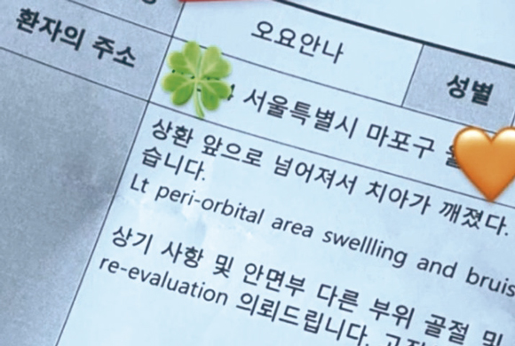 생전 오요안나가 남긴 메모와 진단서 ⓒ온라인 커뮤니티