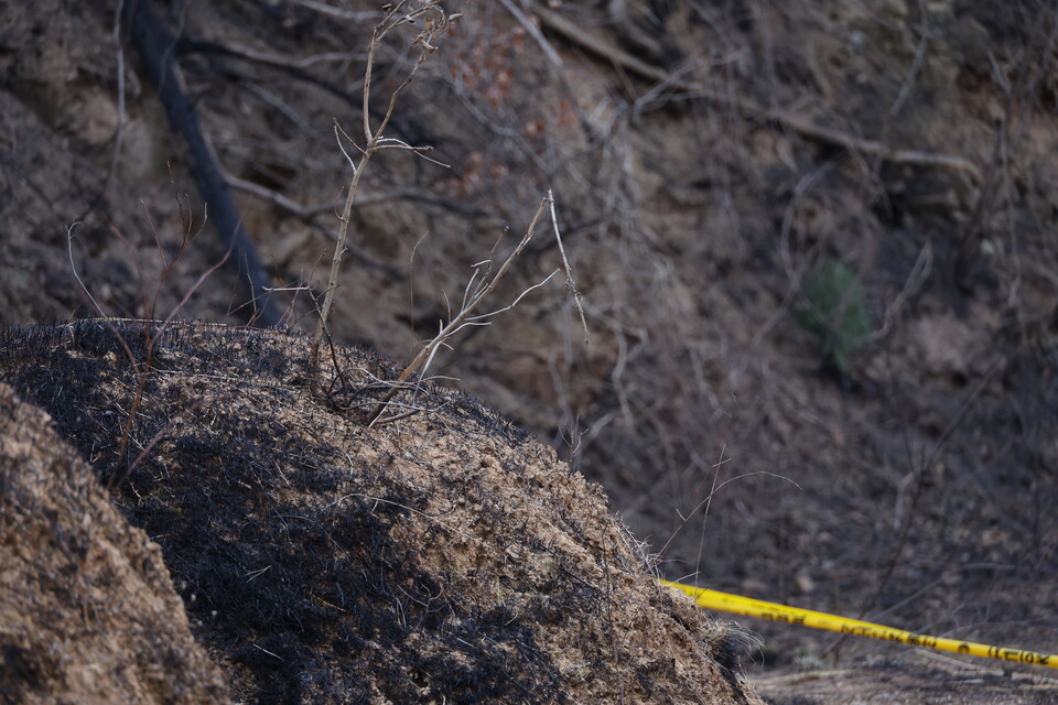 지난 29일 경북산불 최초 발화 추정 지점인 의성군 괴산리 야산 묘지가 불에 타면서 검게 변해 있다. ⓒ연합뉴스