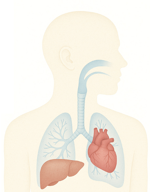 ⓒChatGPT 생성이미지