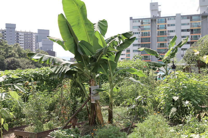 ⓒ시사저널 임준선