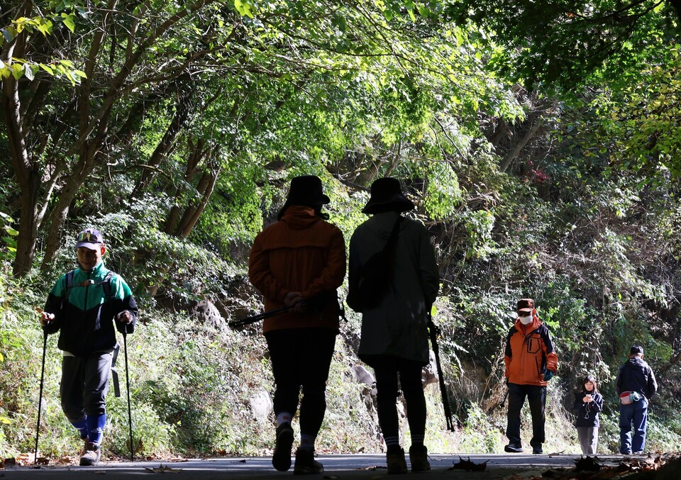 ‘지각 단풍에 초록빛 무등산’ 입동을 이틀 앞둔 지난 5일, 광주 동구 운림동 무등산국립공원 나무들이 단풍이 들지 않은 채 초록빛을 띠고 있다. ⓒ연합뉴스