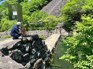 [대전24시] 산림청, 성수기 대비 산림휴양시설 안전점검...안전·쾌적한... - 뉴스 썸네일 이미지