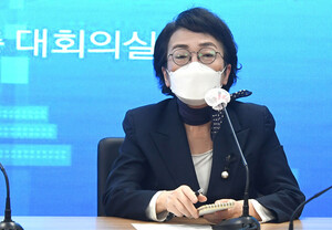 김진애 전 의원