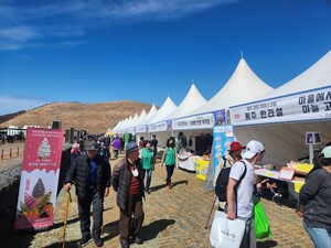 [제주 24시] 제주들불축제, '농수특산물 상생장터' 운영...셔틀버스도 7... - 뉴스 썸네일 이미지