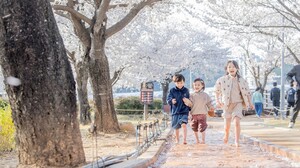 [구미 24시] "도심 전역에서 흙 밟는다"...구미시, 40억 들여 13㎞ 맨발길... - 뉴스 썸네일 이미지