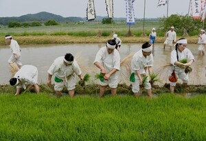 [함안 24시] 무형유산 '함안농요' 진수 선보인다...함안군, 농사 재현 행... - 뉴스 썸네일 이미지