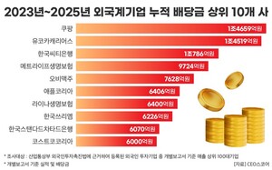 5대 명품 브랜드, 3년 간 해외 본사로 2.1조 송금...루이비통 최대 - 뉴스 썸네일 이미지